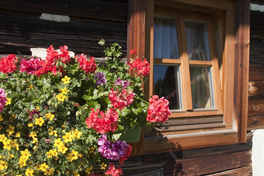 Schrunerhof Ebene Reichenau 客房 照片