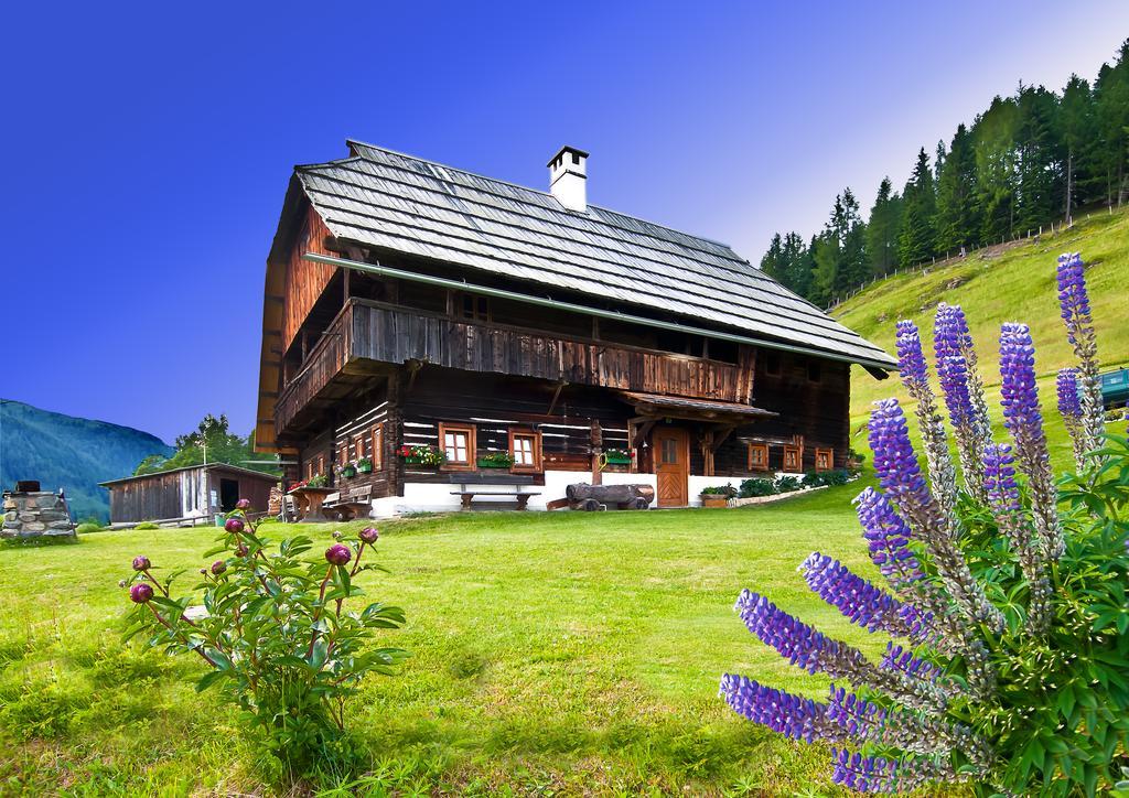 Schrunerhof Ebene Reichenau 客房 照片