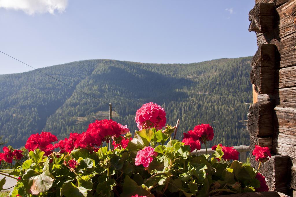 Schrunerhof Ebene Reichenau 客房 照片