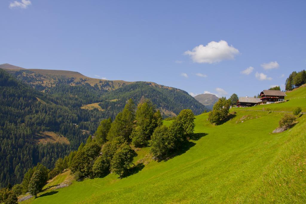 Schrunerhof Ebene Reichenau 客房 照片