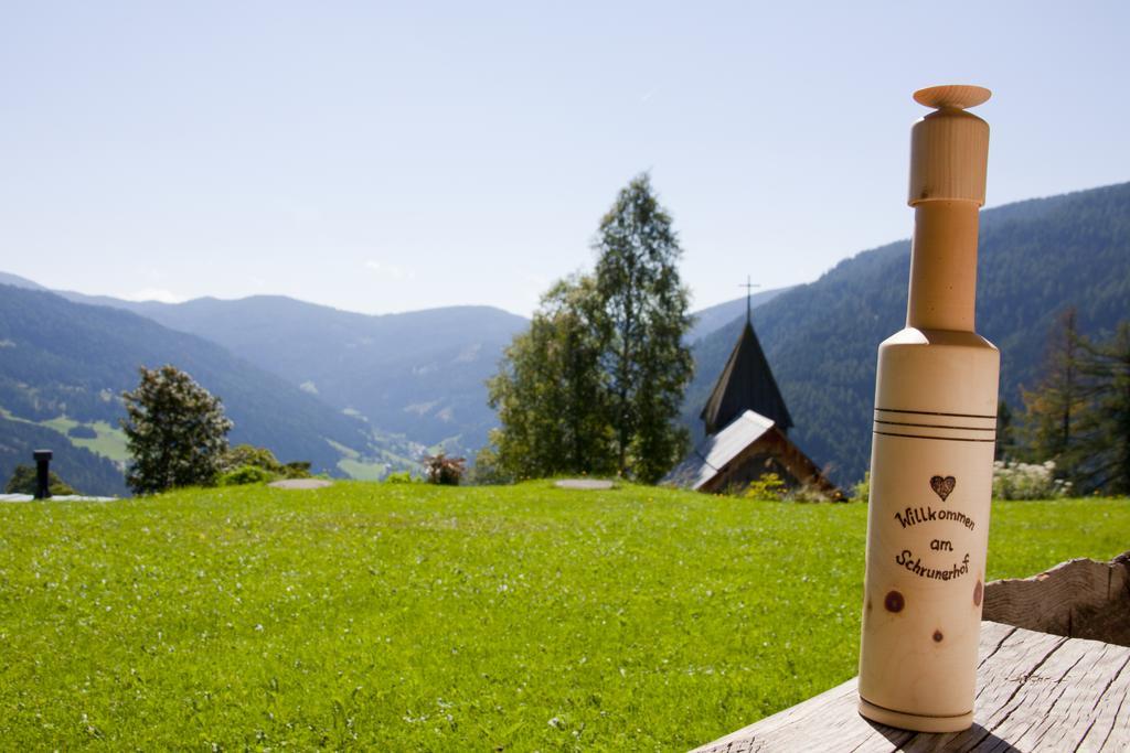 Schrunerhof Ebene Reichenau 客房 照片