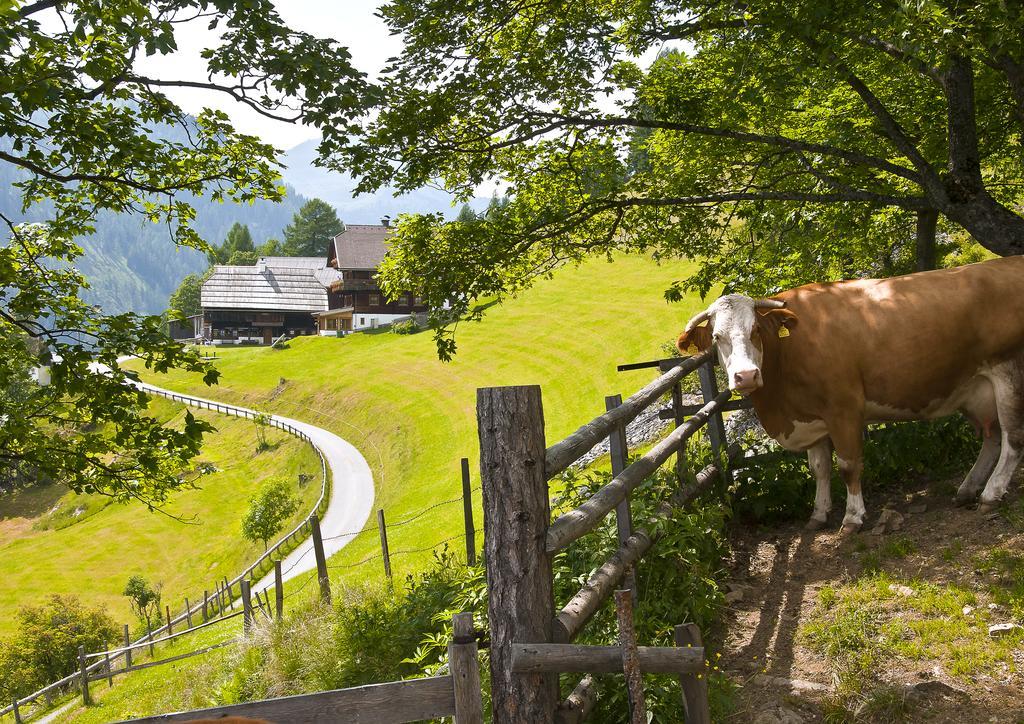 Schrunerhof Ebene Reichenau 外观 照片