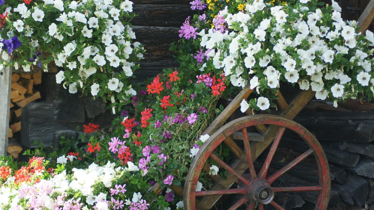 Schrunerhof Ebene Reichenau 外观 照片