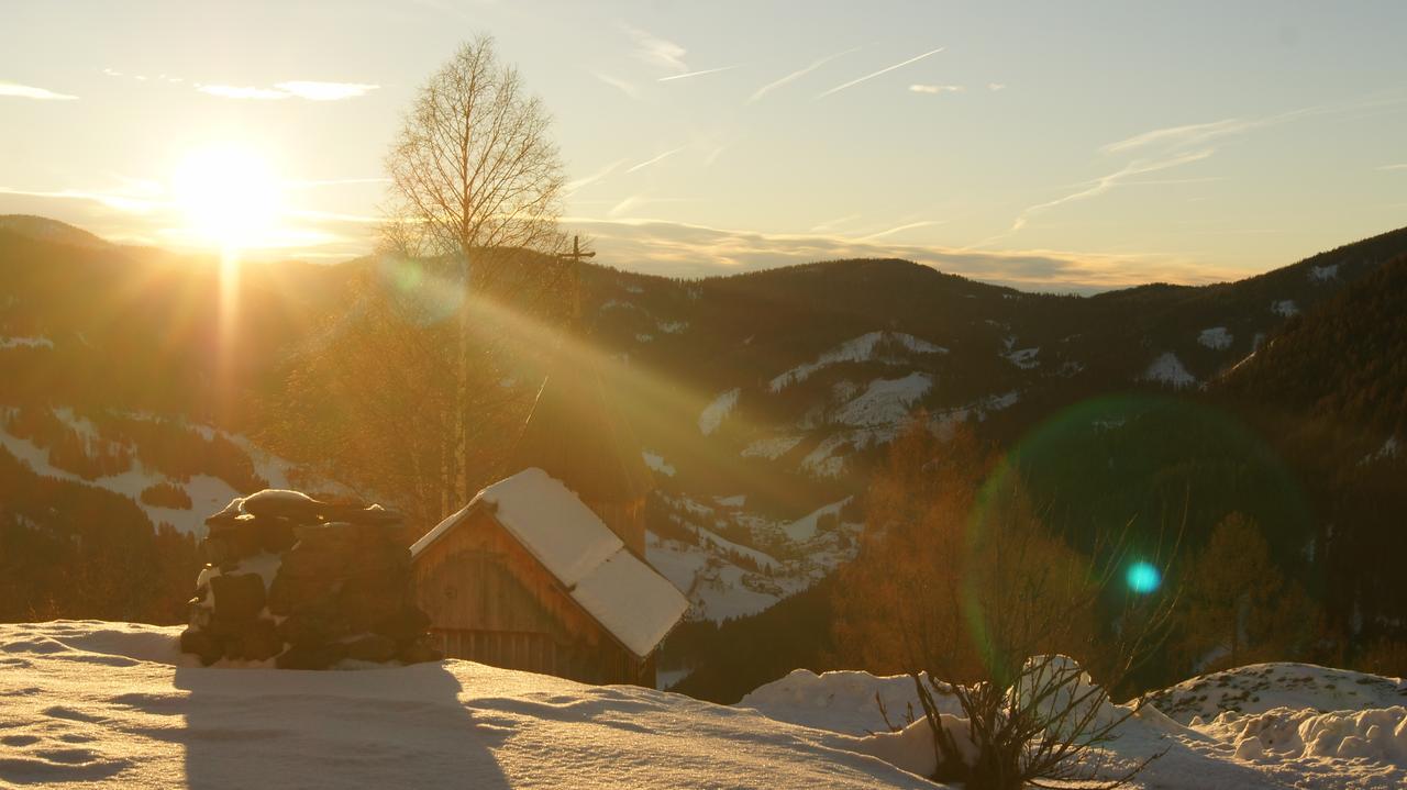 Schrunerhof Ebene Reichenau 外观 照片